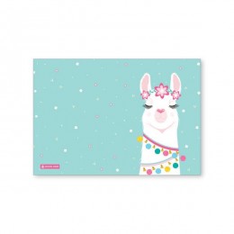 Book Cover Llamazing 225x 175mm