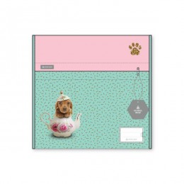 Chair Bag Teacup Dogs